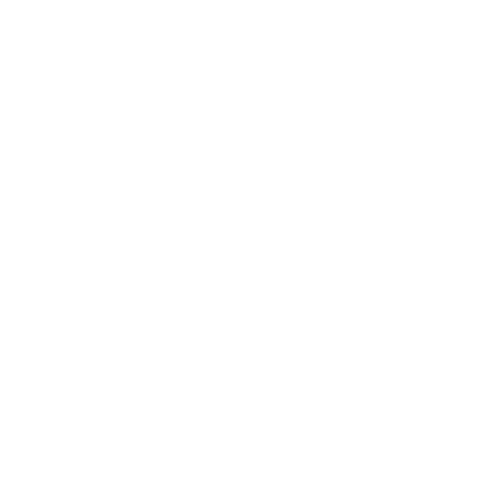 fabioferreiraperformance.com.br